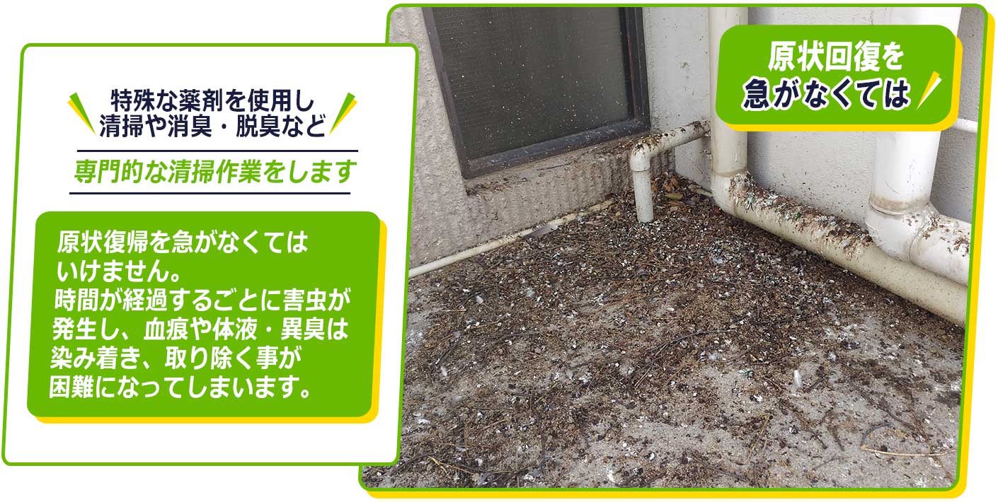 特殊な薬剤を使用し、清掃や消臭・脱臭などを行います。原状復帰を急がなくてはいけません。時間が経過するごとに害虫が発生し、血痕や体液・異臭は染み着き、取り除く事が困難になってしまいます。